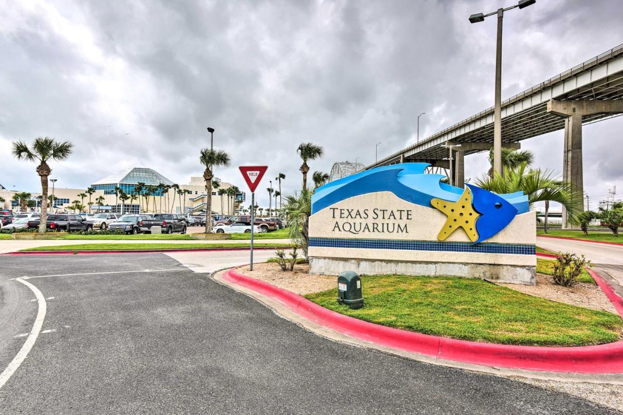 Breezy Beachfront Condo In Heart Of Corpus Christi Dış mekan fotoğraf